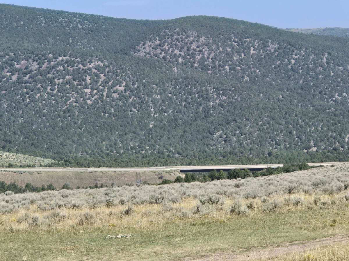 Forest Service 114 photo 6