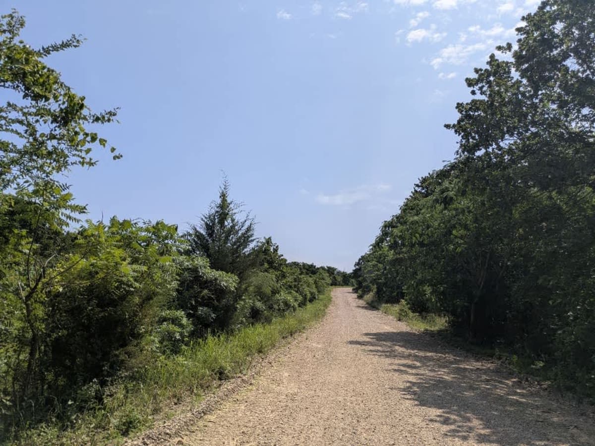 E0959 trail photo