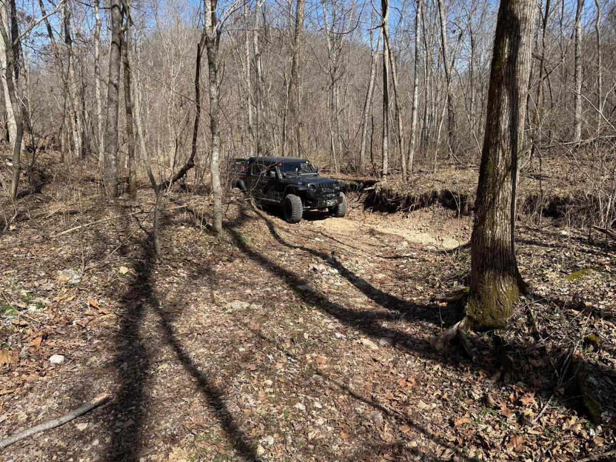 Morgans Creek 377 trail photo