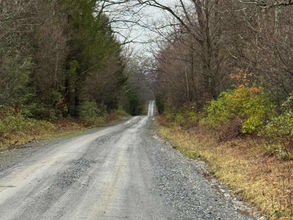Fields Ridge Road photo 3