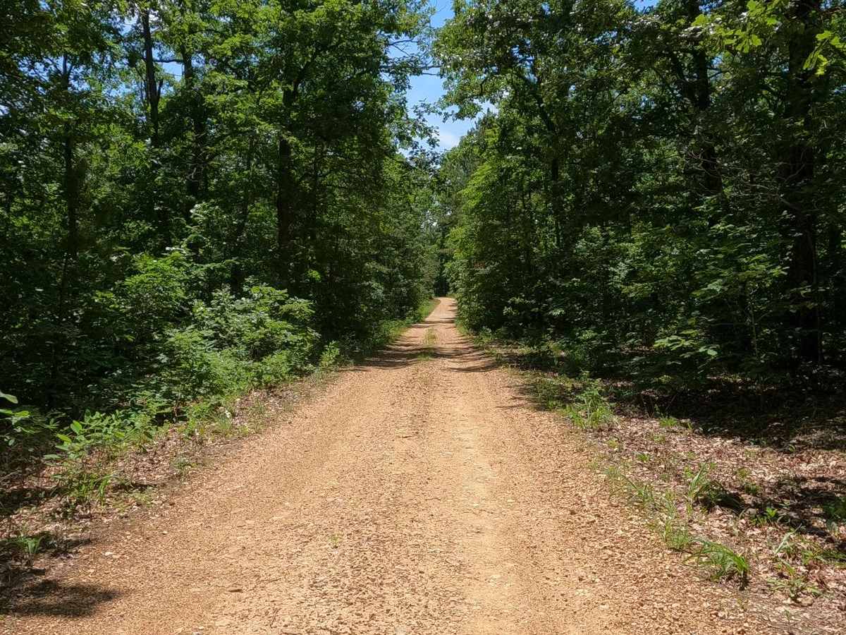 Chloride Ridge FSR 2112 photo 3