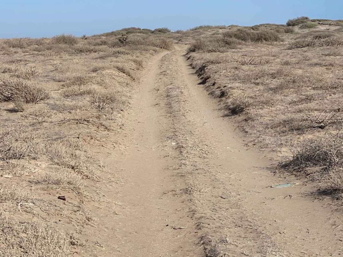 Playa Loop photo 3
