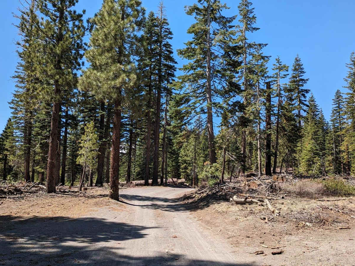 Inyo Crater Road photo 5