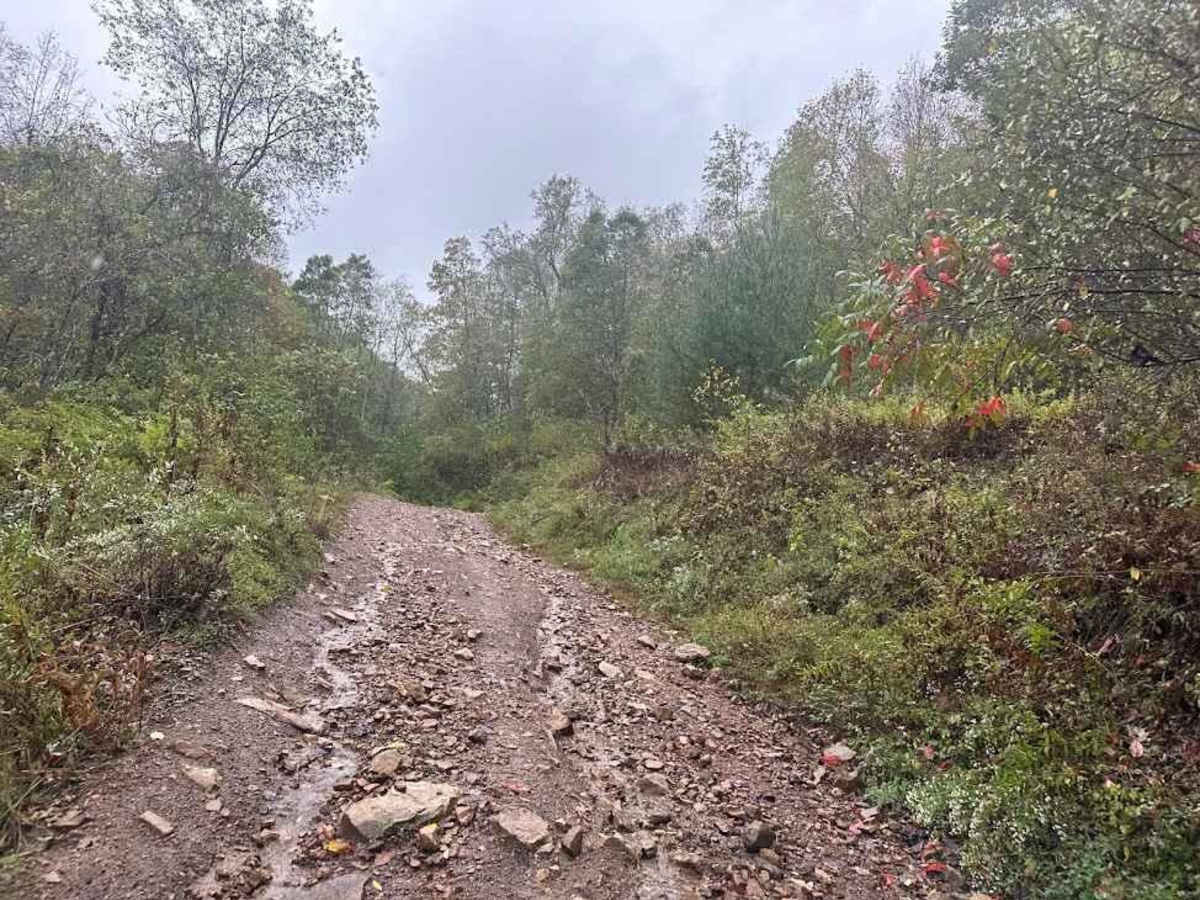 46 Blue trail photo
