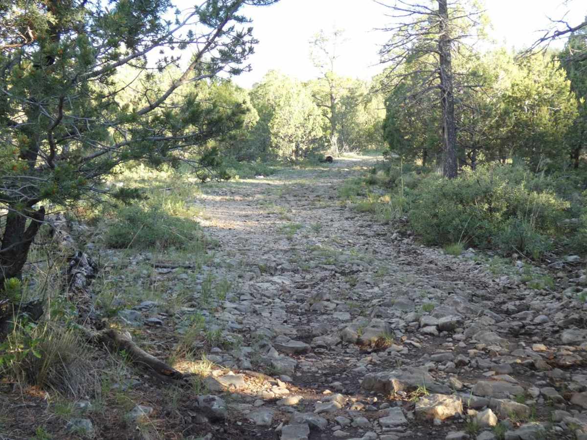 James Ridge photo 4