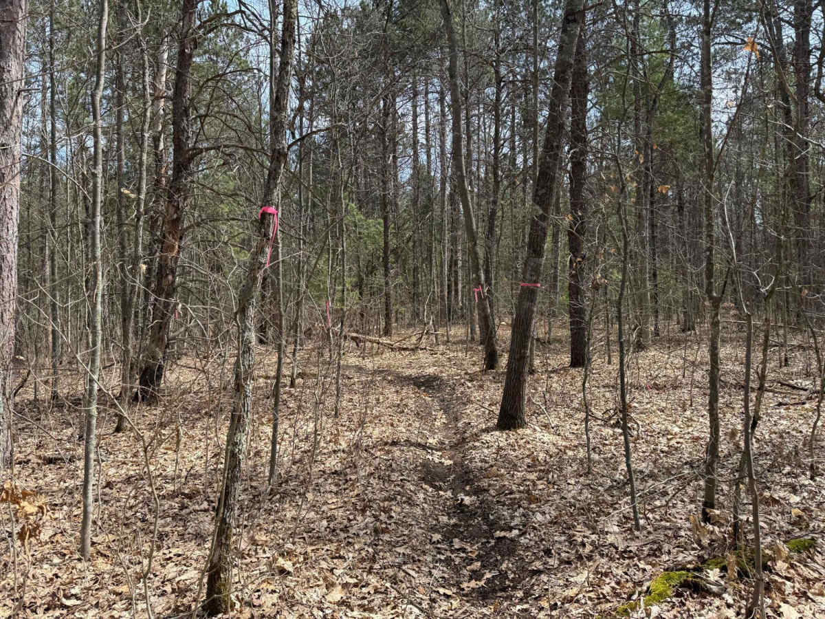 Grand Traverse West Spur photo 4