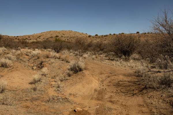 Sheep Gulch