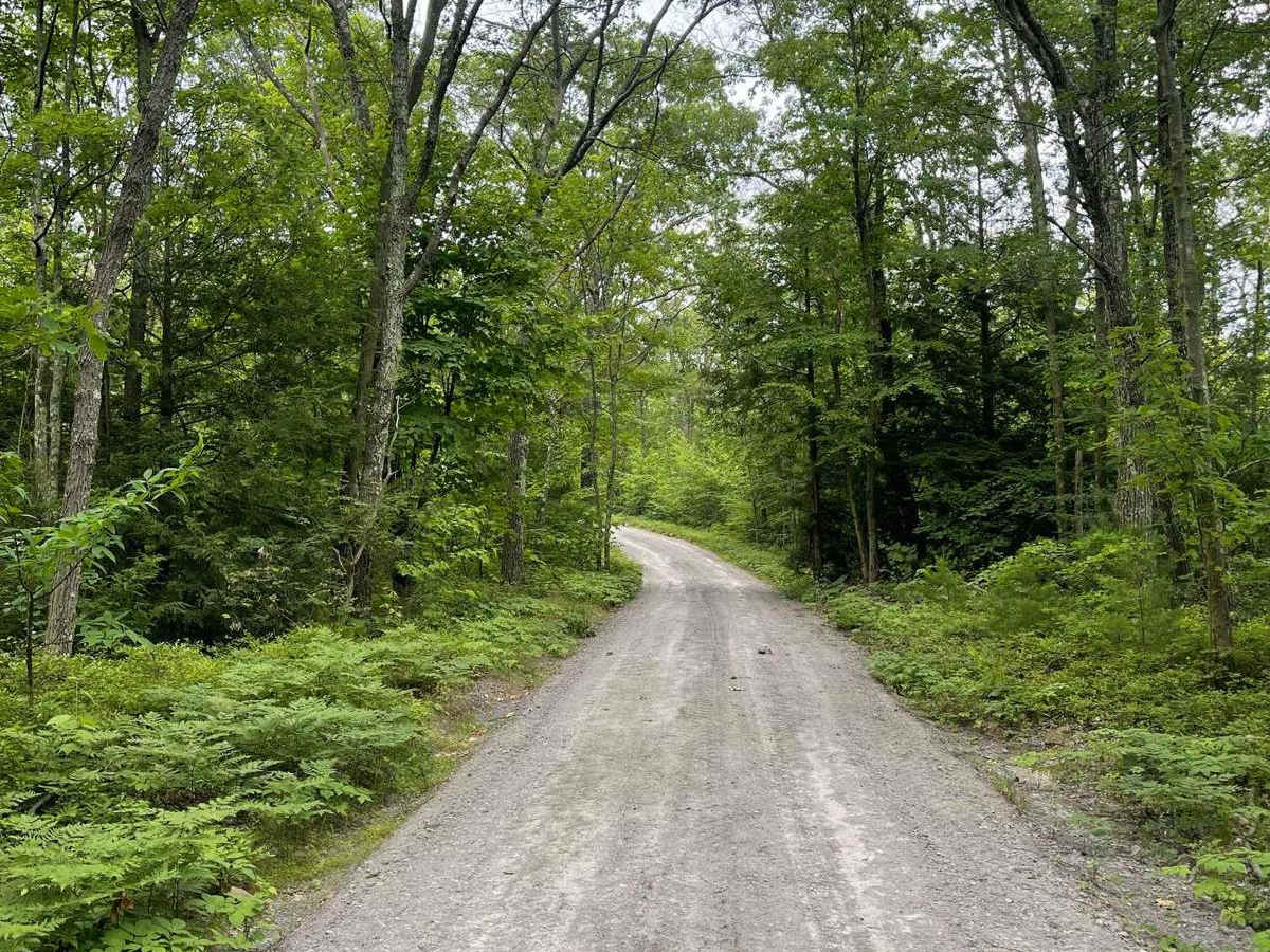 Falling Spring Road photo 2