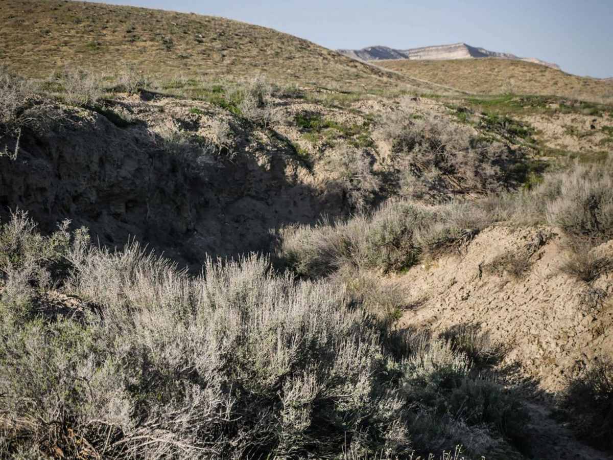 BLM Route 187A photo 4
