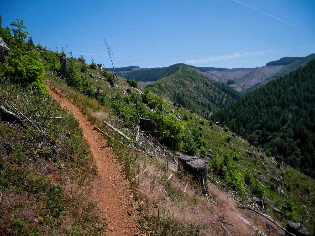 Morrels Maze #29 trail photo