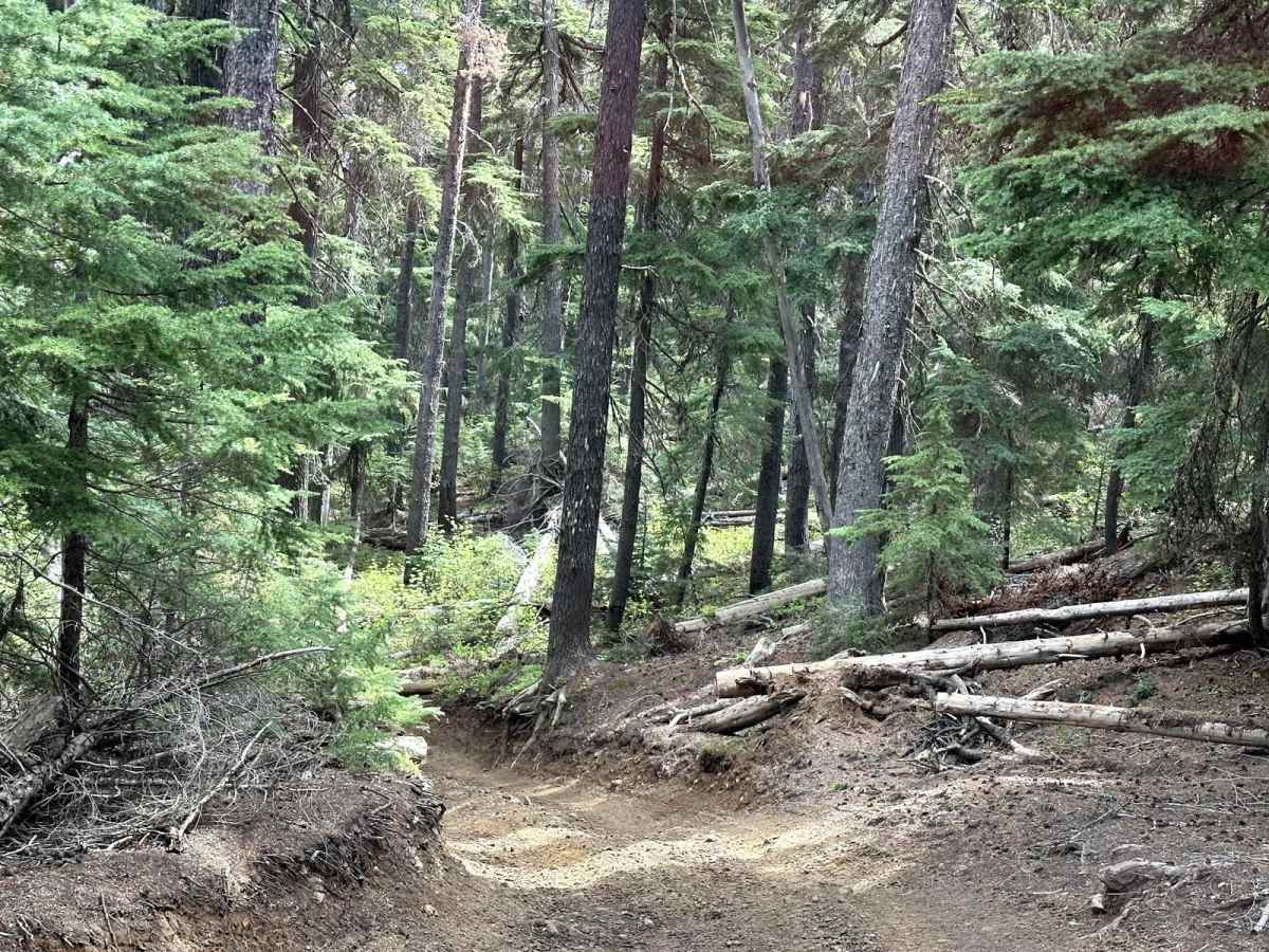 Tripod Flats Trail photo 5