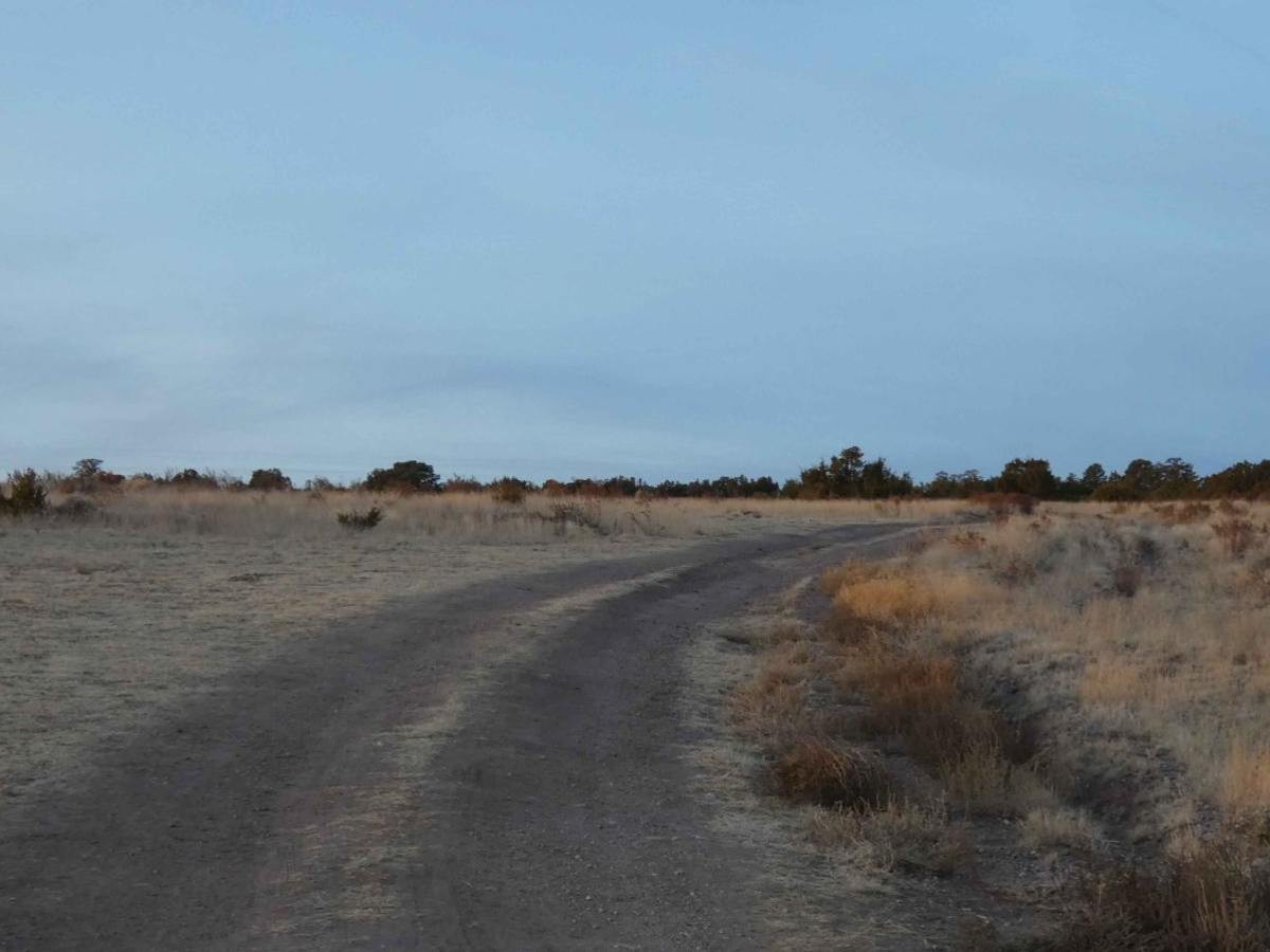 Gallinas Palisade photo 2