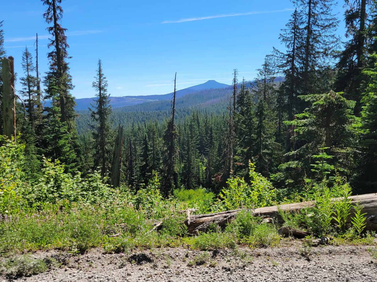 FR 6350 - Grahams Pass photo 4