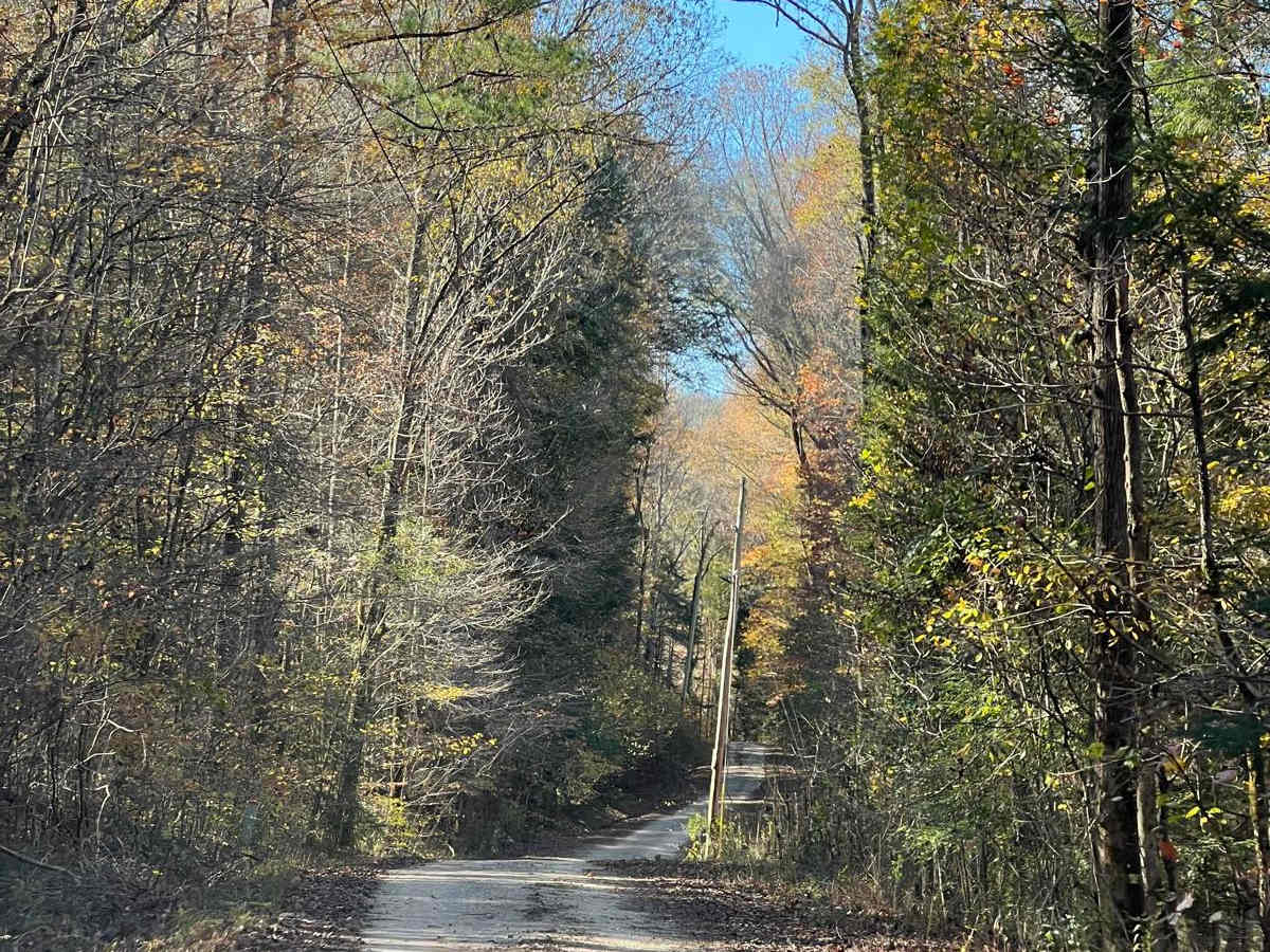 Indian Tomb Hollow Road photo 5