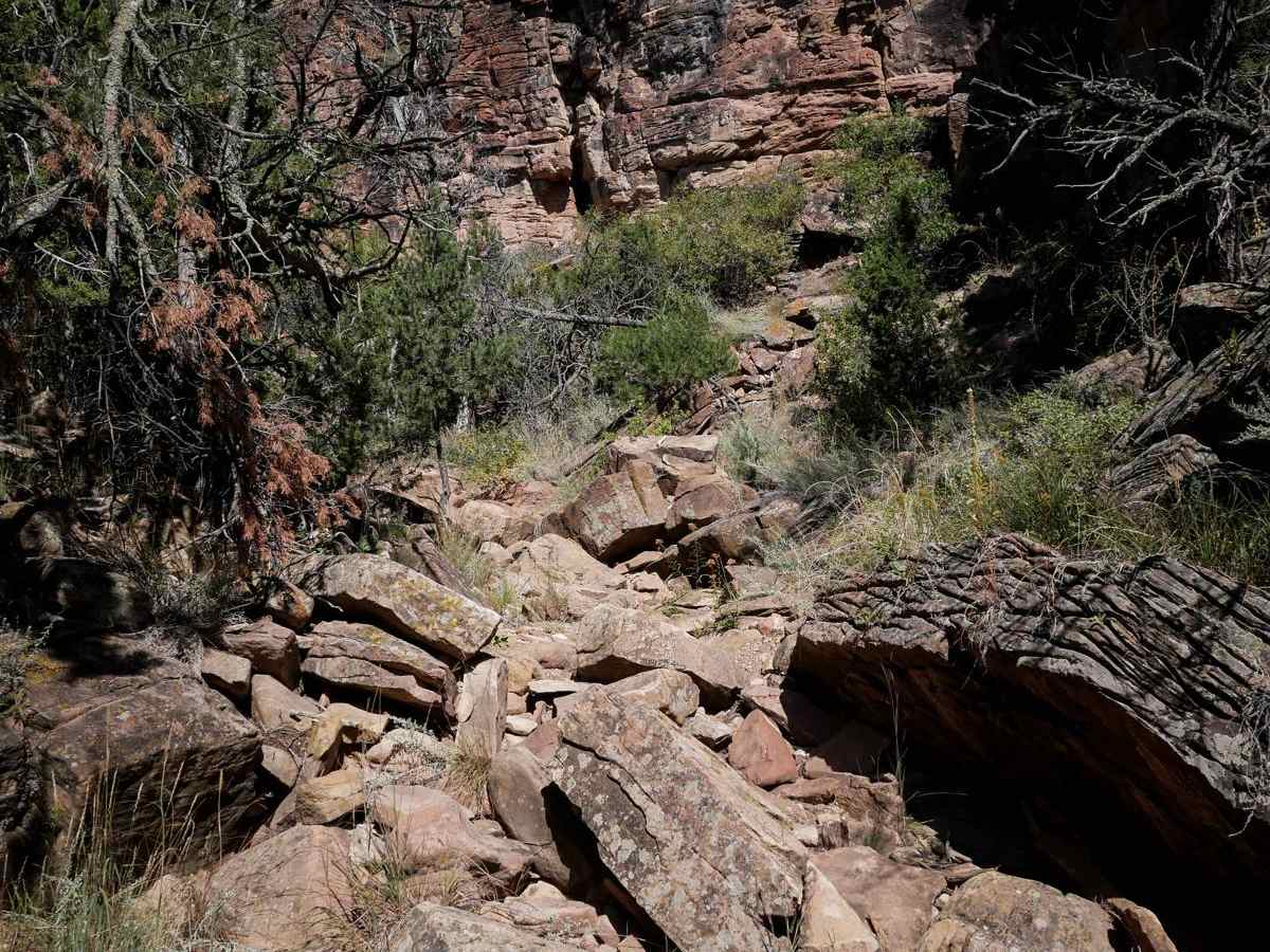 Warmup Trail photo 2