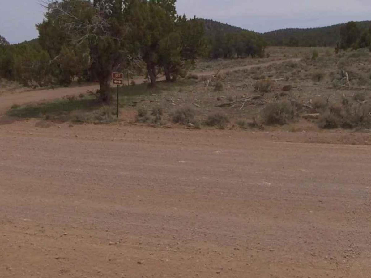 Dixie National Forest-FR31007 photo 2