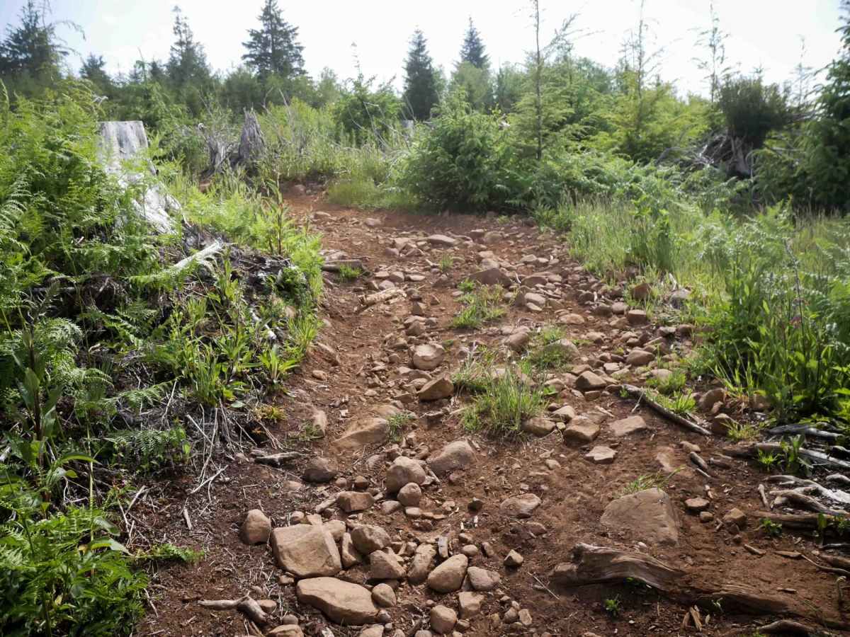 McNary Loop photo 2