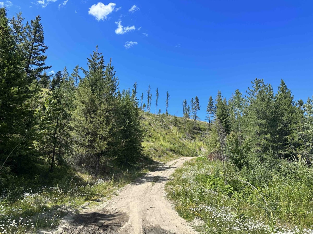 Camel Hump FSR photo 3
