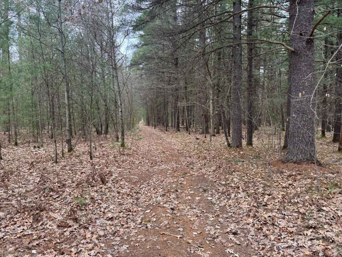 Traverse City ORV Route South trail photo