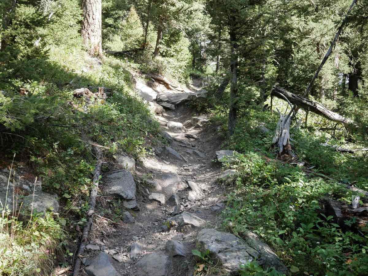 Porcupine Creek #34 photo 6