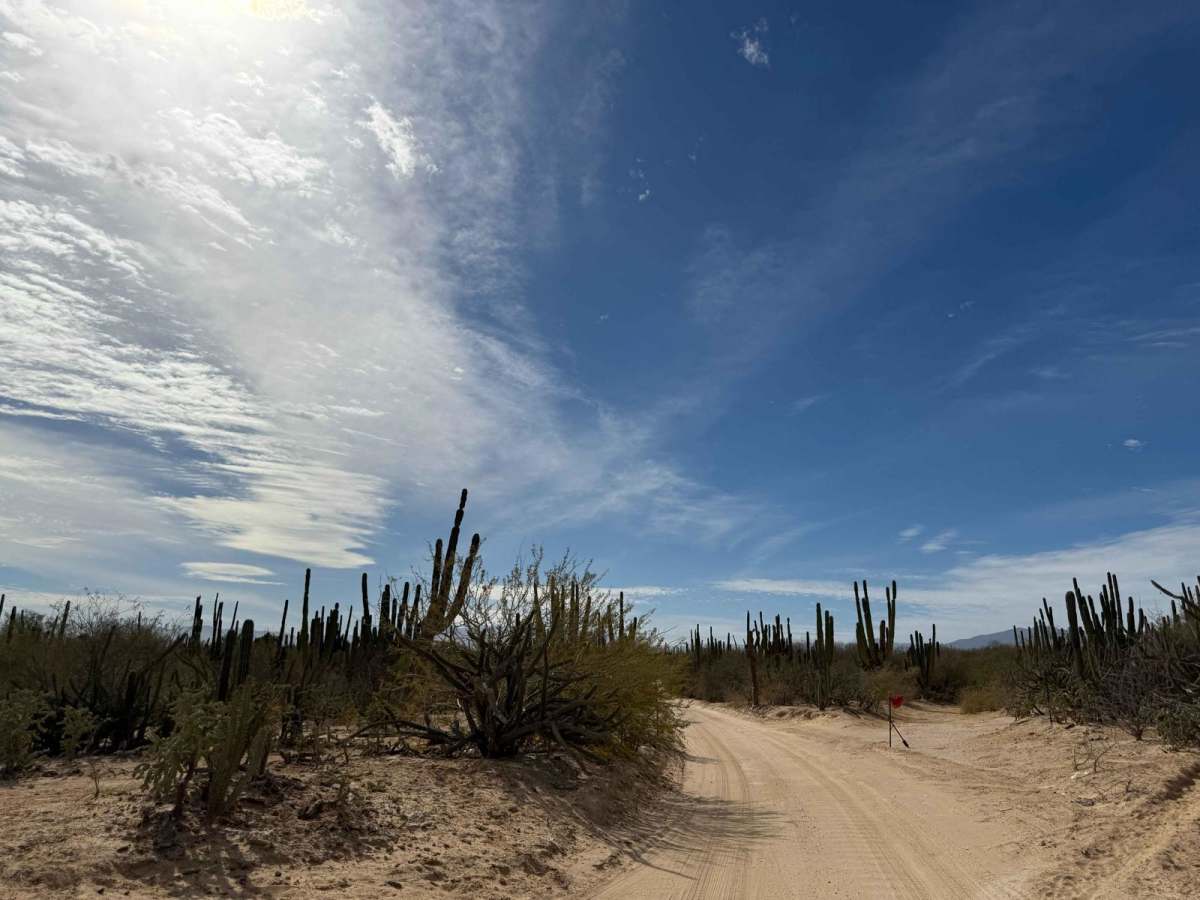 South of Los Planes/ San Blas Connecting Trail trail photo