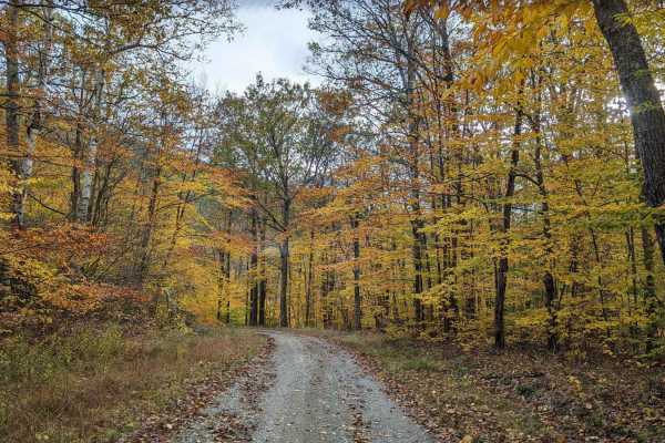 Cowdry Hollow to Comstock Hollow Road