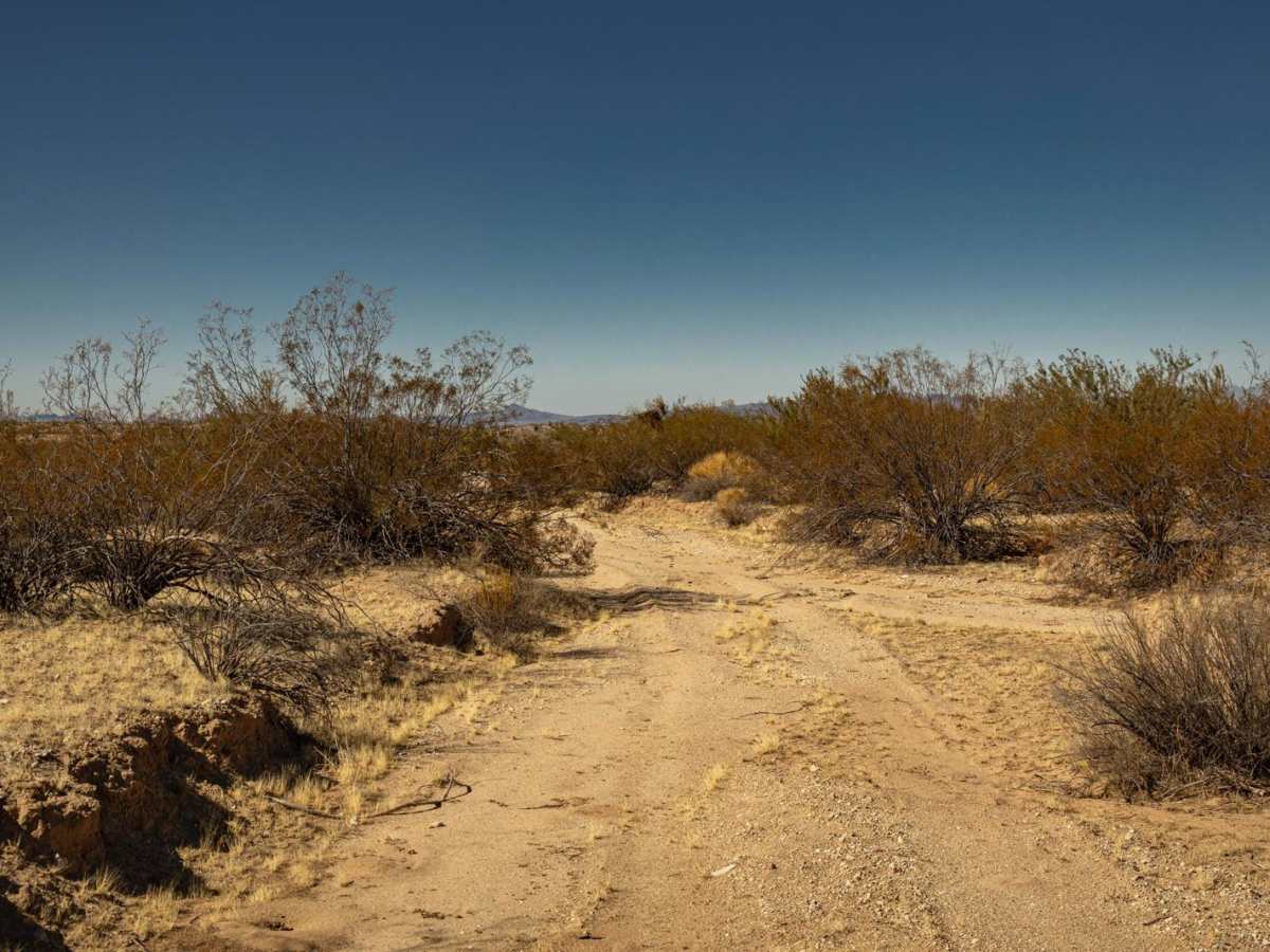 Bullard Wash South photo 4