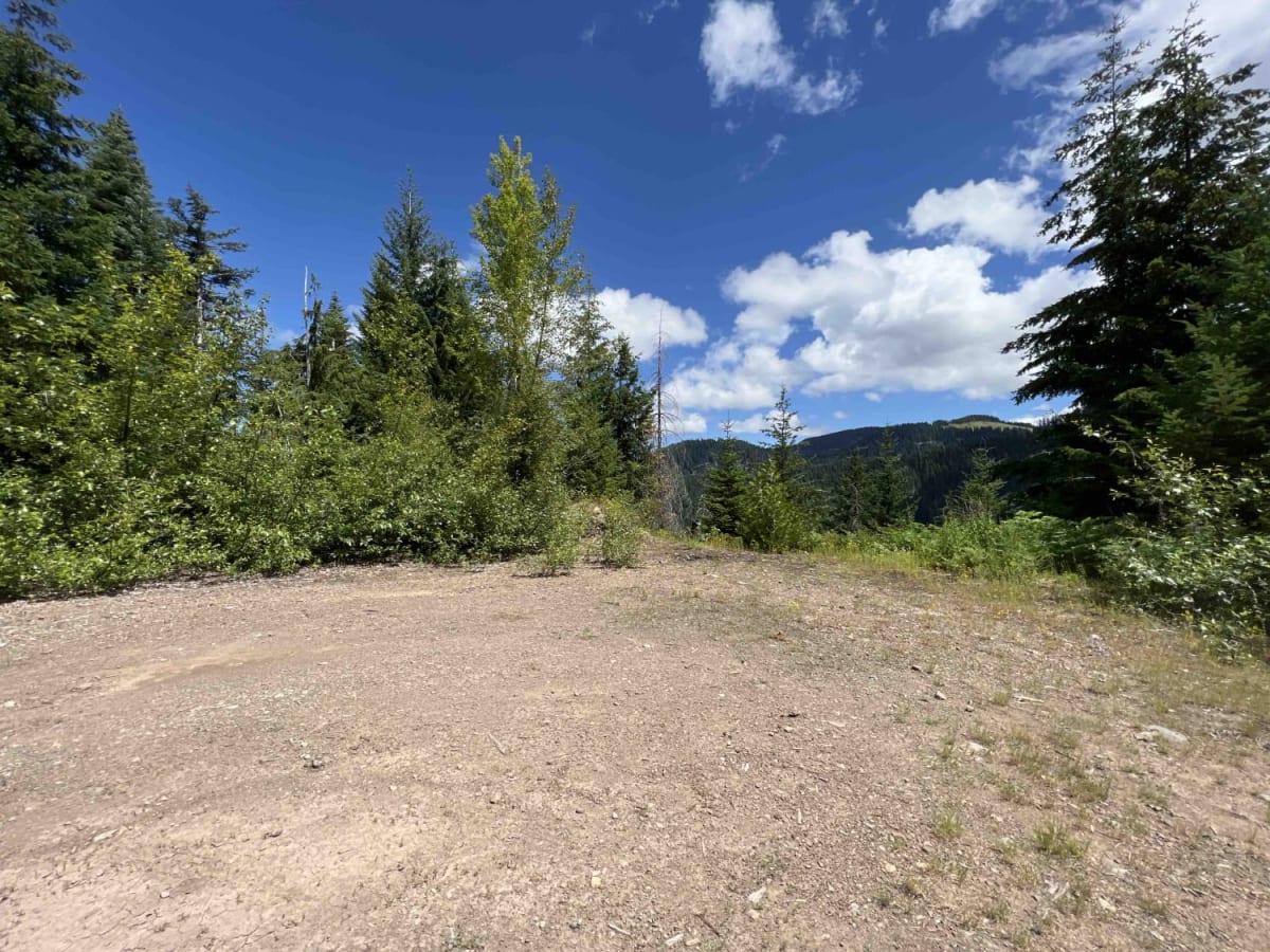 Buck Creek 2120 photo 5