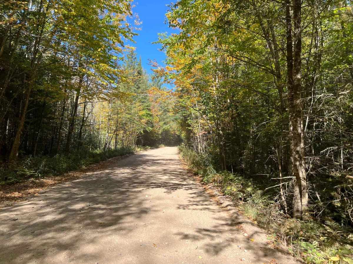 Trail 16 Tower Road photo 3