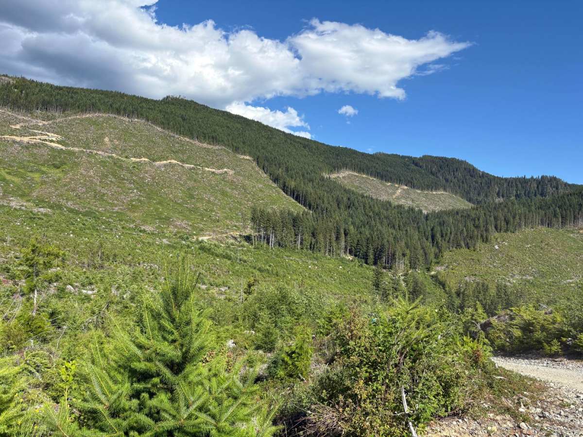 Sherk Lake photo 6
