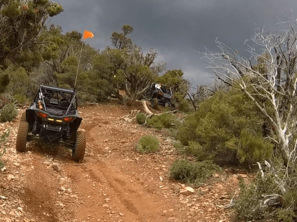 Spring Mountain Recreation Area - Side Trail 01 photo 4