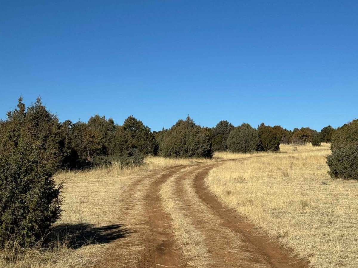 Rowe Peak Pass trail photo