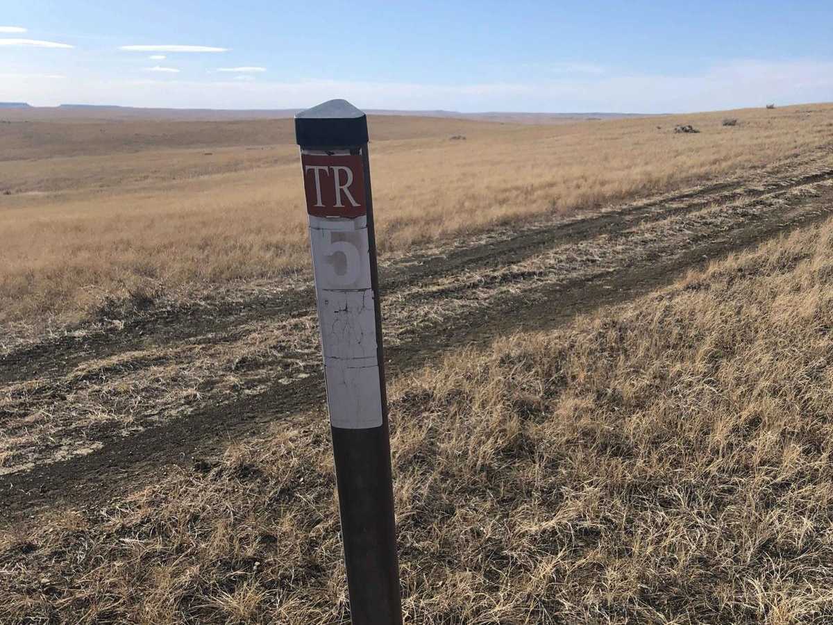 Trail 564 photo 2