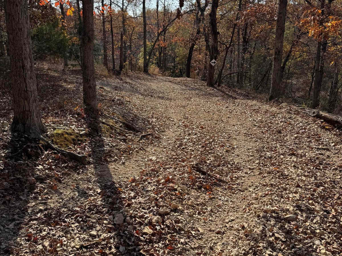 Green 196 photo 2