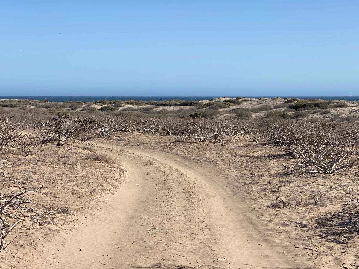 Playa Loop photo 5