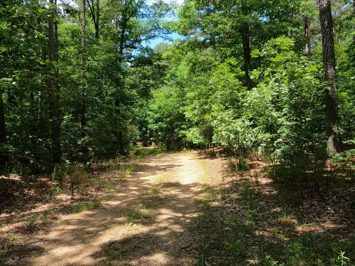 Reader Hollow FSR 2155 photo 6