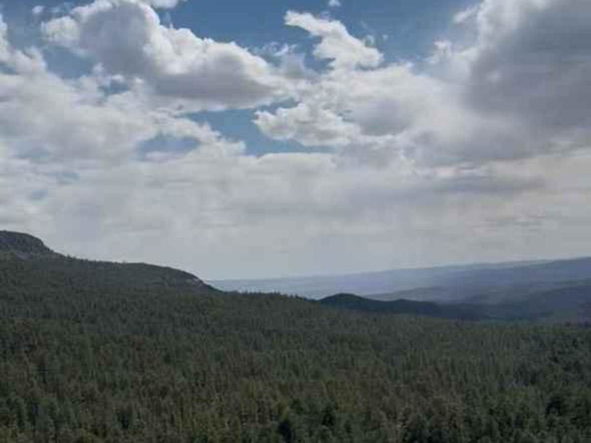 Bear Springs Road Continued photo 5
