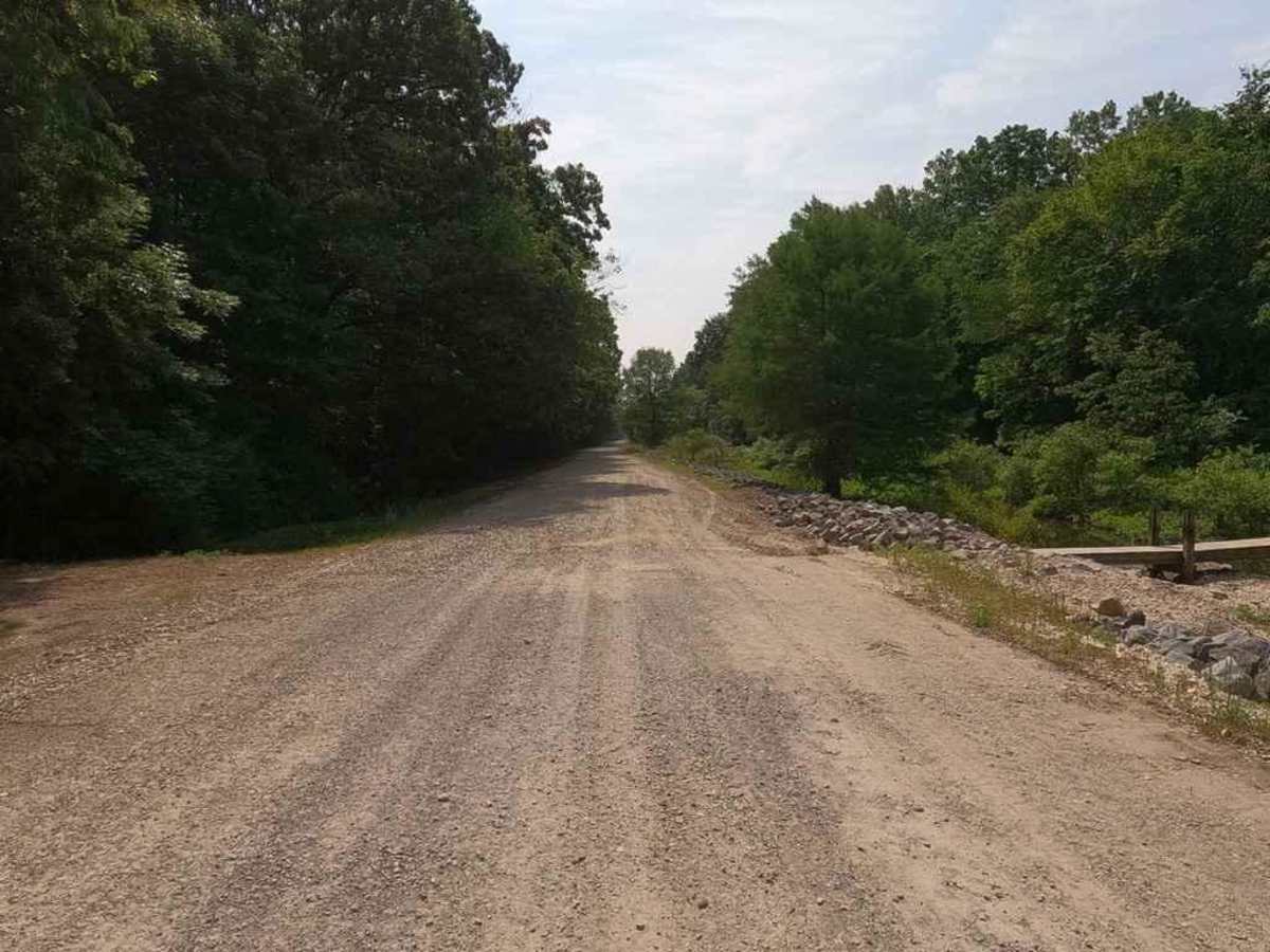 Rainey Brake WMA Road photo 6