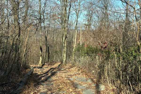 101 Trail