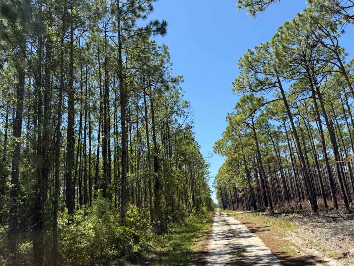 BOTOA Trail photo 2