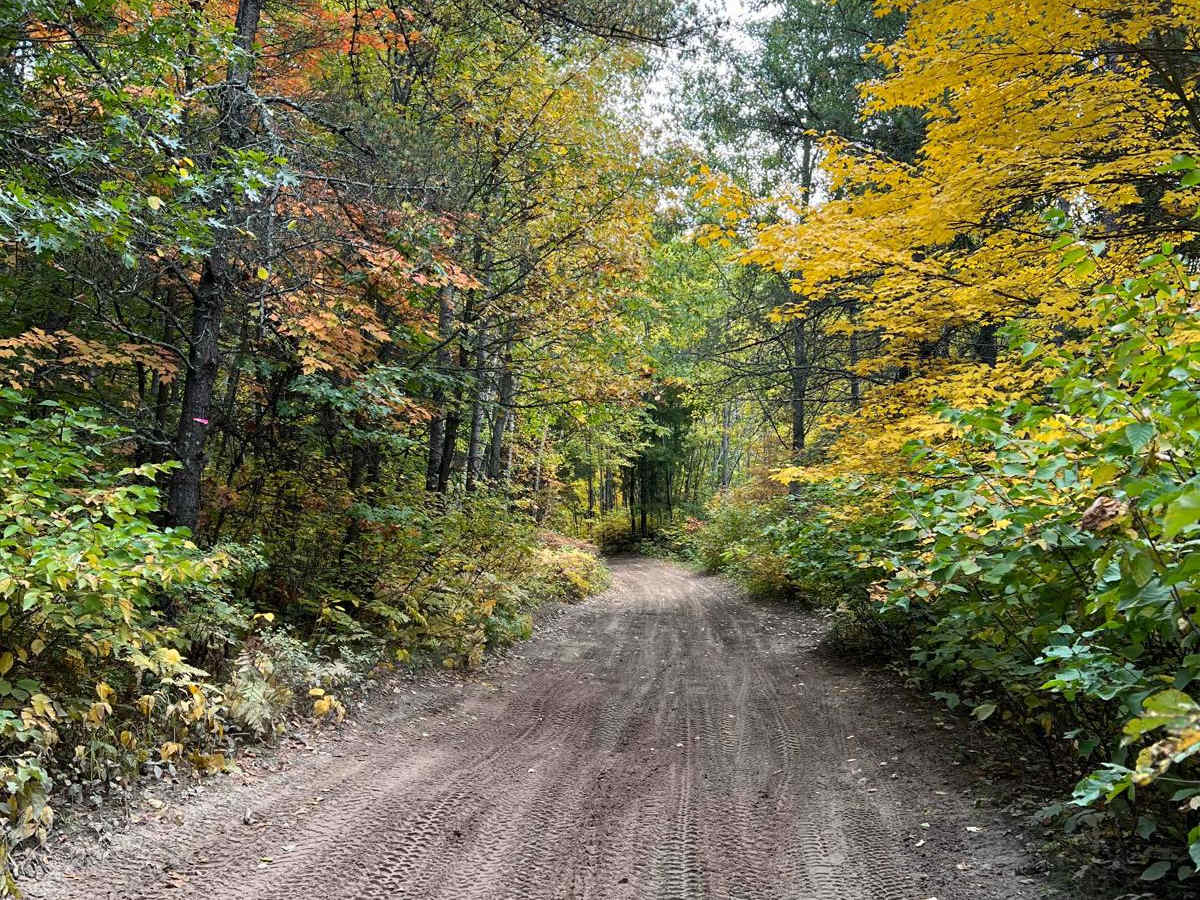 Paul Bunyan South River Rd photo 4
