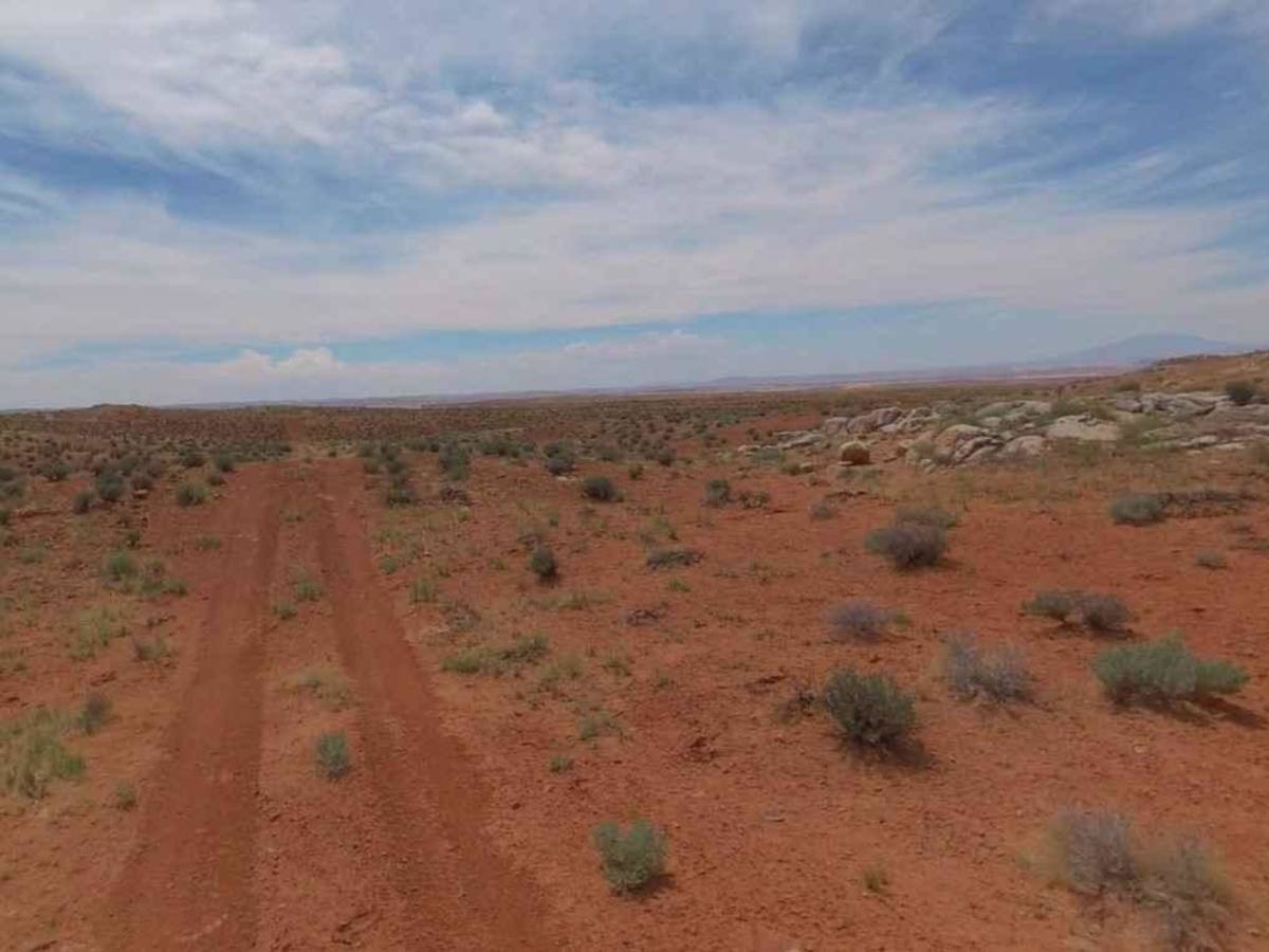 BLM13430 photo 6