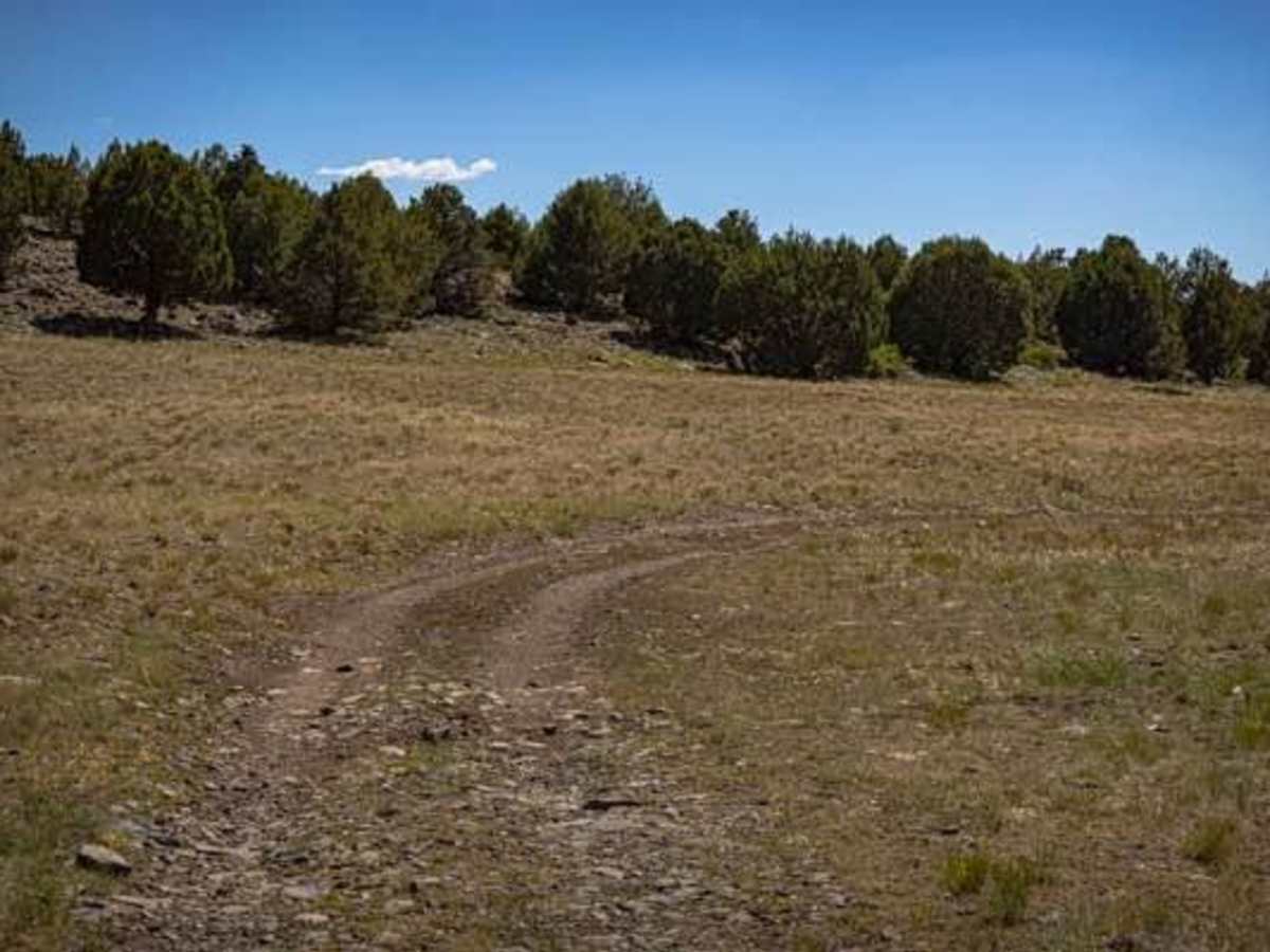 Antelope Loop photo 5