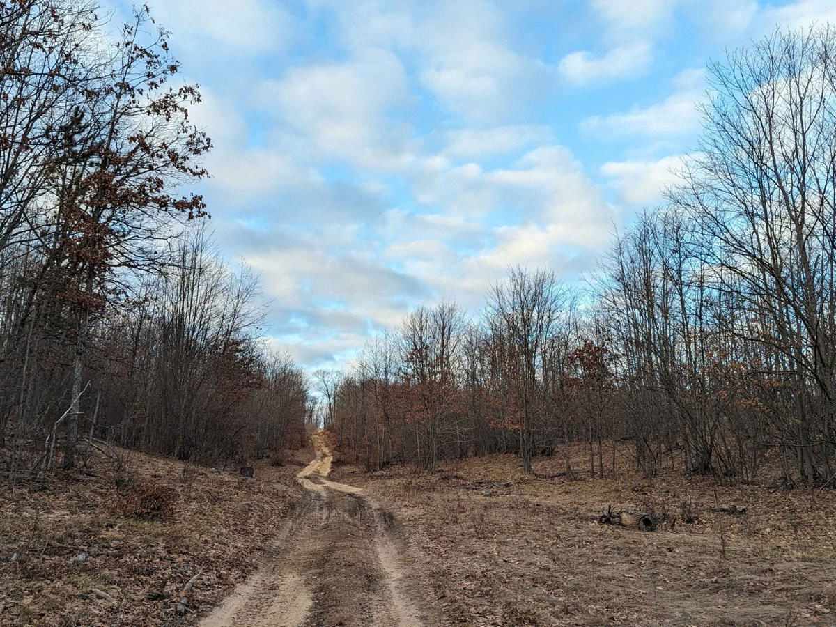 Oak Road photo 5