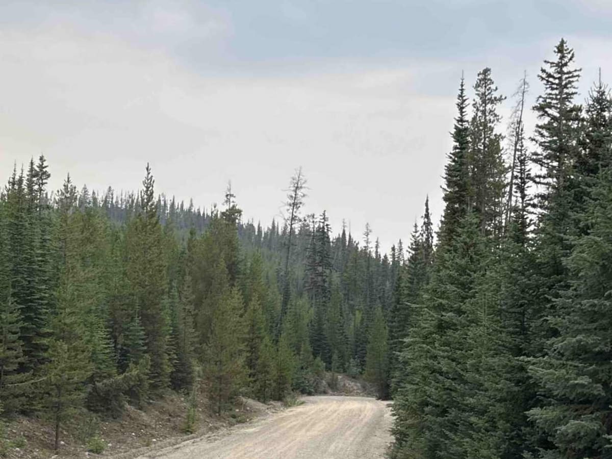 Hatheume Lake Forest Service Road photo 3