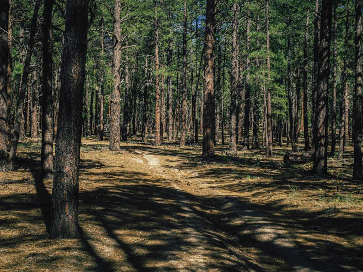 Hunter Hill Camp photo 4