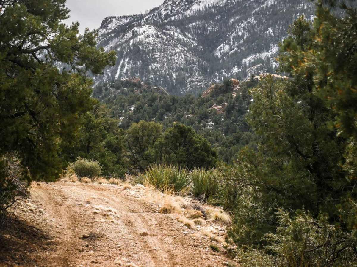 BLM Route 7125 photo 3