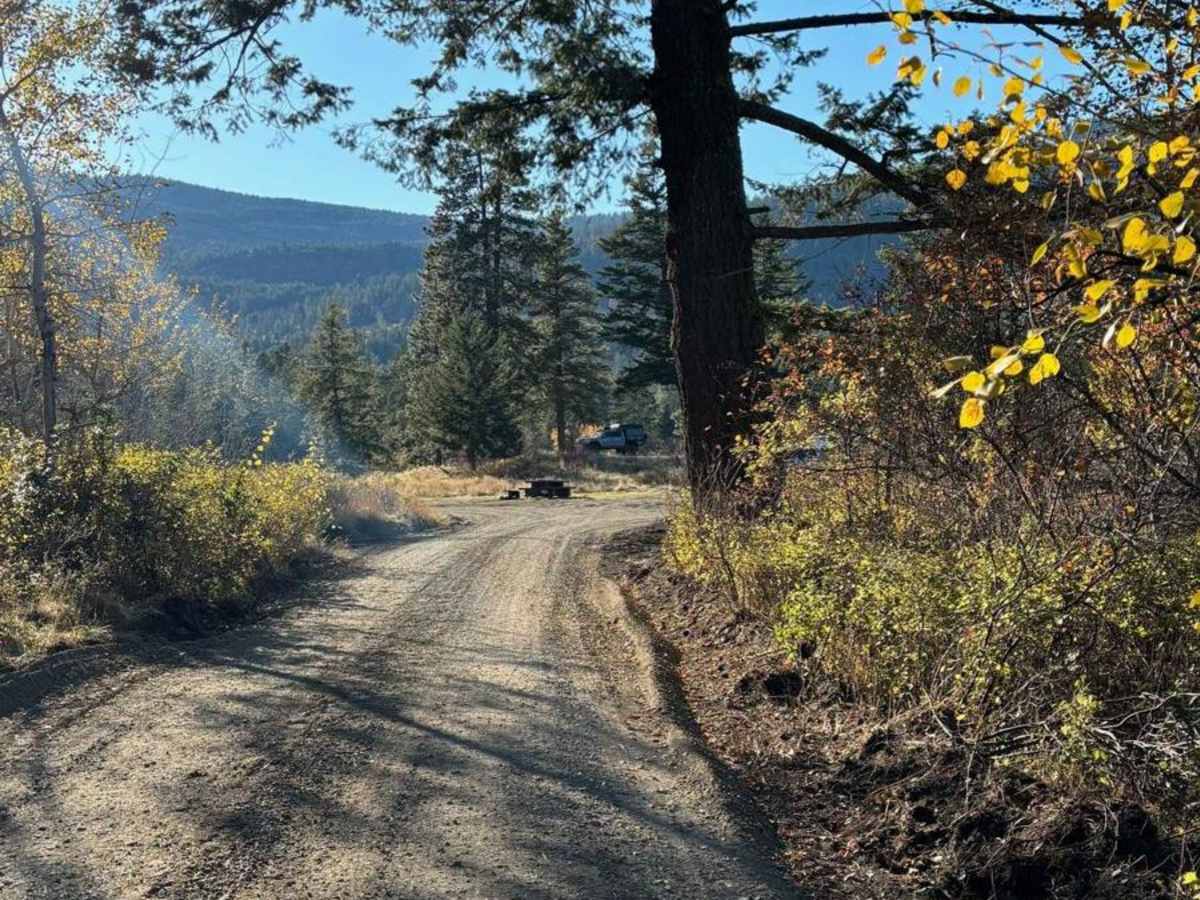 Burnell Lake Road photo 2
