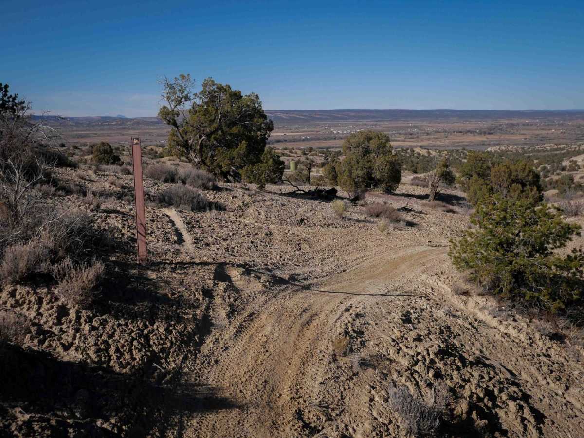 Mini Ridge Singletrack trail photo