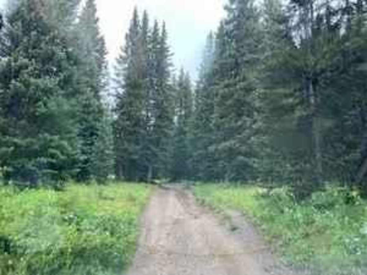 Burnt Mountain Road - FR651 trail photo